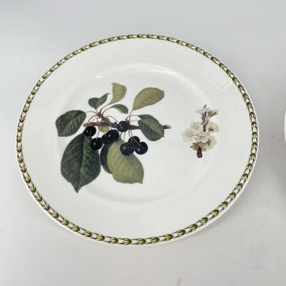 RHS Royal Horticultural Society Botanical Dinner Plates Set 2 India 10 7/8”